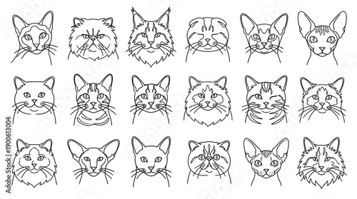 Collection of various cat breeds in outline style showcasing different feline faces and characteristics.