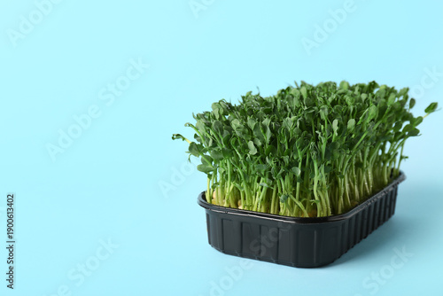 Plastic container with fresh micro green on blue background