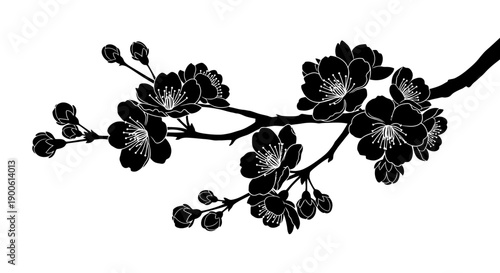 Elegant black silhouette of a cherry blossom branch with delicate flowers and buds, isolated on a white background, perfect for design elements.