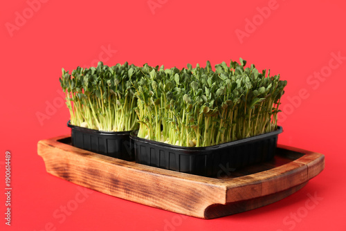 Wooden tray with plastic co...