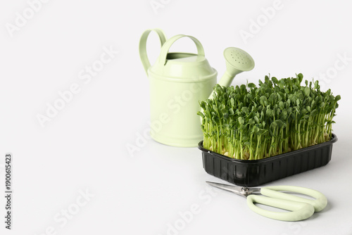 Plastic container with fresh micro green, watering can and scissors on white background