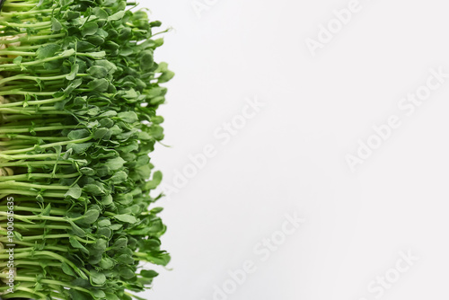 Fresh micro green on grey background, closeup