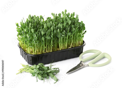 Plastic container with fres...