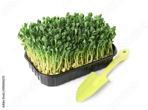Plastic container with fres...