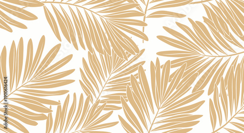 A close-up view of overlapping palm fronds with a white background.