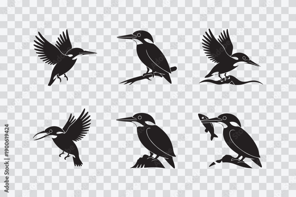 Fototapeta premium Dynamic silhouettes of kingfishers in various flight and perched poses isolated on transparent background