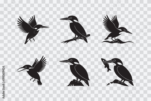 Dynamic silhouettes of kingfishers in various flight and perched poses isolated on transparent background