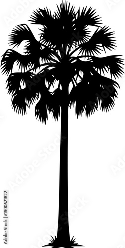 Palmetto Tree silhouette vector illustration