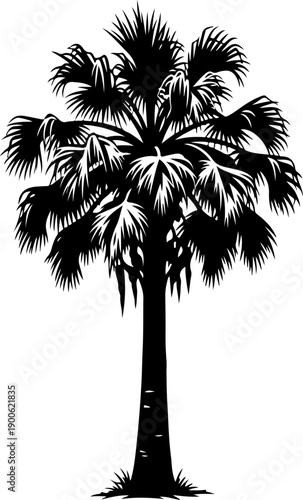 Palmetto Tree silhouette vector illustration