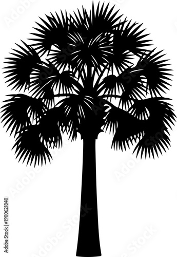 Palmetto Tree silhouette vector illustration