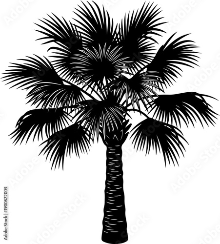 Palmetto Tree silhouette vector illustration