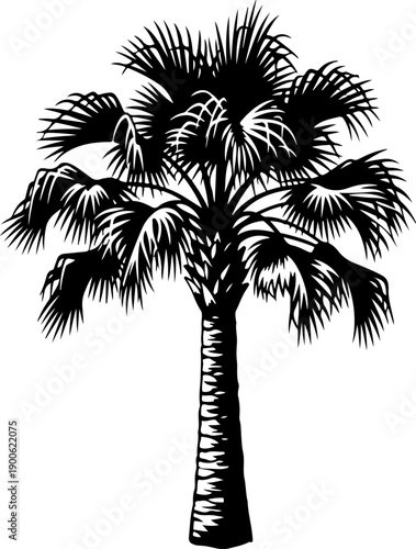Palmetto Tree silhouette vector illustration