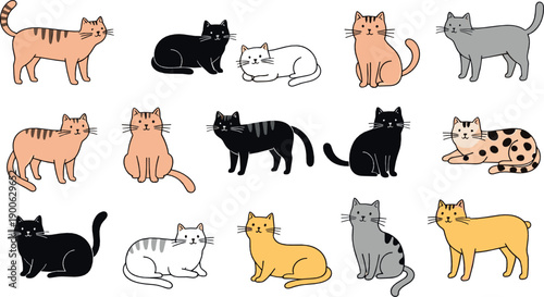 Cute cat poses illustration set with various sitting, lying and walking cats in flat vector cartoon style for pet, kids and animal design