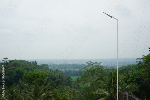 Street light in a lush green forest on a cloudy day.