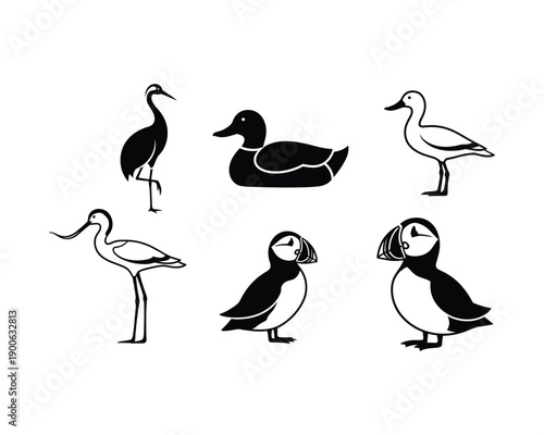 Crane, Duck, Avocet, Puffin vector silhouette illustration design set collection, crane silhouette, duck silhouette, avocet silhouette, puffin silhouette, bird silhouettes vector set, waterfowl 