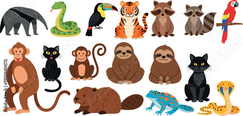 Wild animal illustration set with jungle and forest animals including tiger, monkey, sloth and parrot in colorful flat vector cartoon style