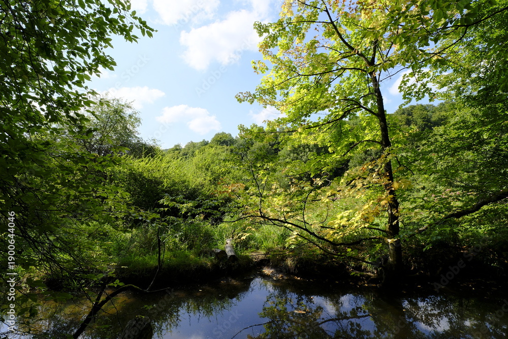 Obraz premium Naturschutzgebiet Hafenlohrtal im Naturpark Spessart, Landkreis Aschaffenburg und Main-Spessart, Unterfranken, Franken, Bayern, Deutschland