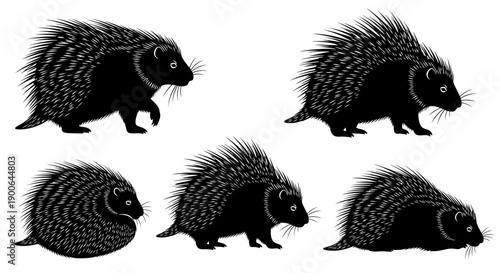 Vector silhouette illustration of porcupines (landak) in various poses, including standing, walking, curled defensive posture, and resting