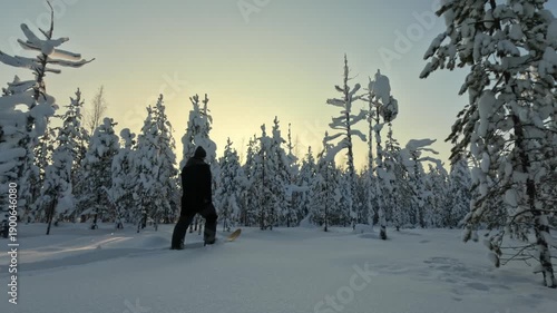 A man tourist skiing through a winter forest. A snowy forest with trees covered in snow. The sky is blue and clear