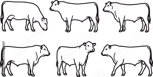 Six cows in different poses and angles illustration line art style  farm animal designs