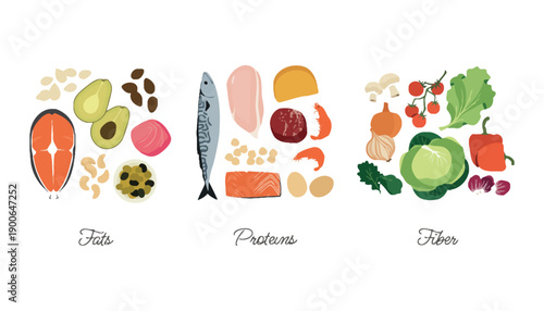 Colorful illustration of healthy food groups including fats, proteins, and fiber