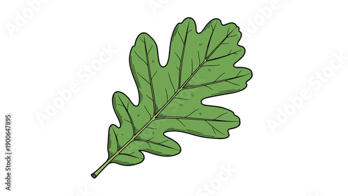 Detailed illustration of a single vibrant green oak leaf, showcasing its distinctive lobed shape and intricate vein patterns, isolated cleanly on a white background.