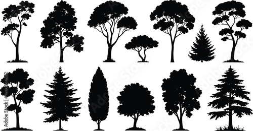 Tree silhouette set, forest garden trees collection, oak pine cypress black vector shapes isolated on white background design
