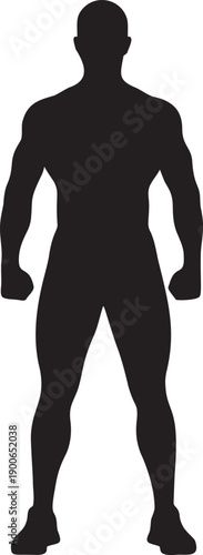 Muscular man bodybuilder silhouette on transparent background strong athlete fitness trainer gym powerlifting