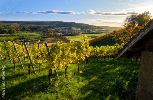 Blick von den Weinbergen bei Prüssberg nach Michelau im Steigerwald, Naturpark Steigerwald, Gemeinde Michelau, Landkreis Schweinfurt, Unterfranken, Franken, Bayern, Deutschland