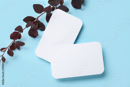Eucalyptus twig and blank c...