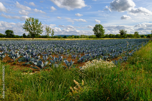 Landschaft bei Heidenfeld, Gemeinde Röthlein, Landkreis Schweinfurt, Unterfranken, Franken, Bayern, Deutschland