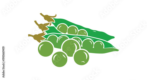 A collection of peas on a plain white background. Flat vector art
