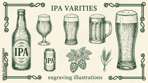 Explore the diverse world of IPA varieties with intricate engravings showcasing hops, barley, and crafted beers 