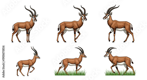 Collection of antelope illustrations in various poses on white and grassy backgrounds