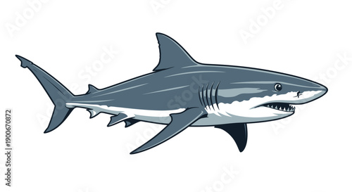 A minimalist illustration of a shark isolated on a white background viewed from the side