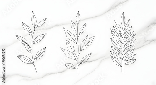 Minimalist black line art illustration of botanical leaves on a white marble texture background.