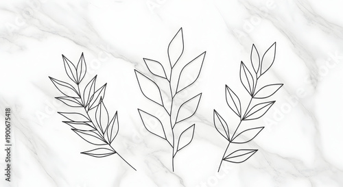 Minimalist black line art illustration of botanical leaves on a white marble texture background.