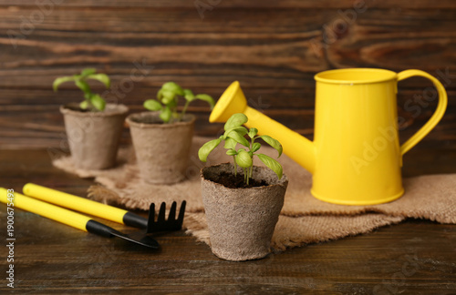Pots with seedlings and gar...