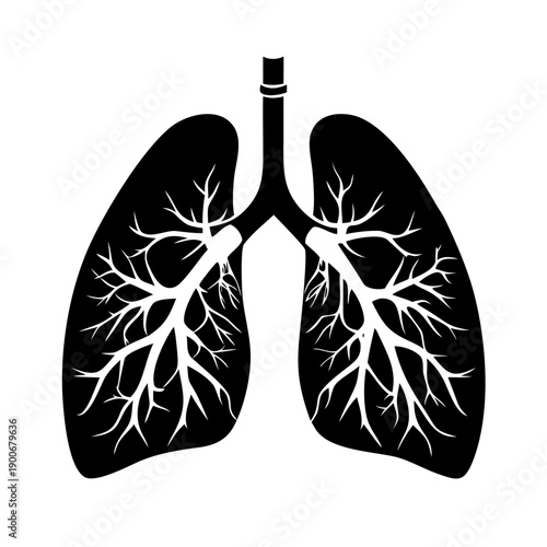 Human Lungs Respiratory System Vector Icon Silhouette for Medical Anatomy and Pulmonary Health Design