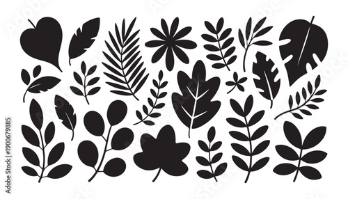 Black leaf silhouettes collection with diverse organic tropical shapes and botanical floral elements