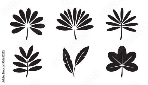 Symmetric palm and tropical leaf silhouettes for vacation posters and exotic island theme decorations