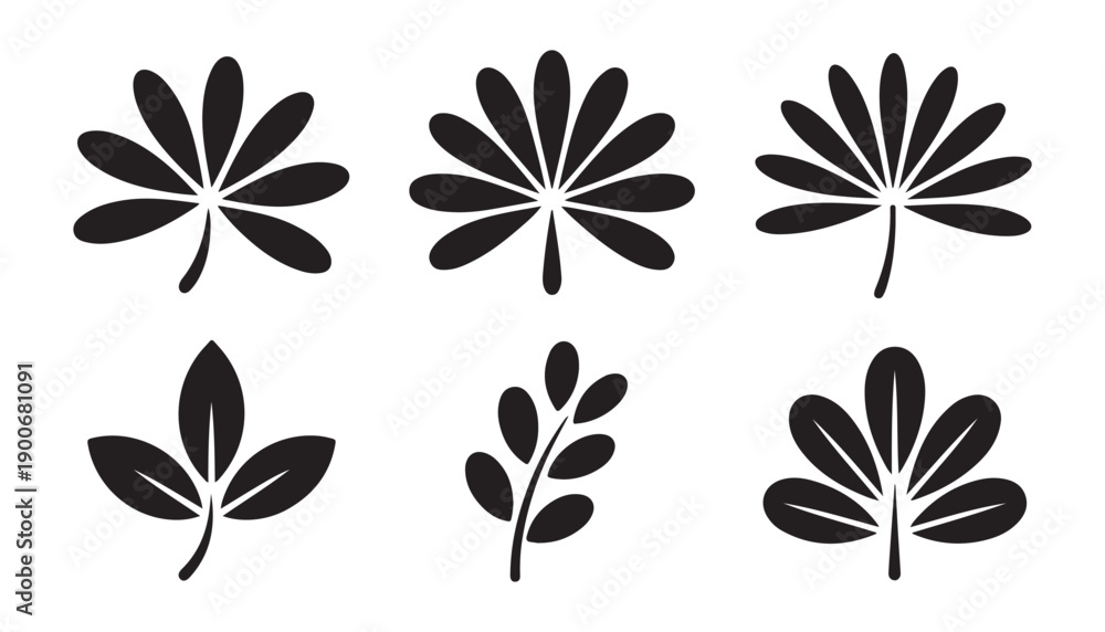 Obraz premium Set of black palm leaves design elements for prints and patterns on white background tropical summer