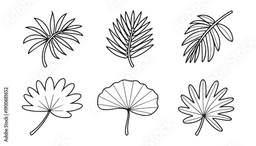 Collection of diverse tropical plant foliage and palm fronds in outline style isolated vector