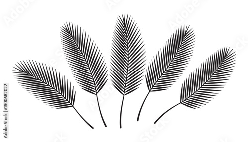 Fan of five isolated tropical palm leaves in black outline drawing on white background