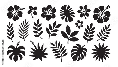 Set of black tropical flower and palm leaves silhouette isolated on white background