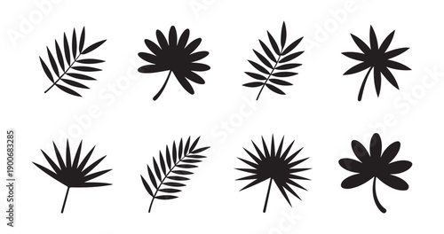 Set of black tropical palm leaves silhouettes isolated on white background for summer designs