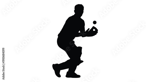 Silhouette of a cricket bowler in the action of delivering a ball