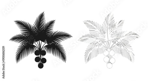 Two palm tree silhouettes with coconuts one dark and one light