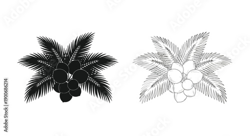 Black and grayscale illustrations of grape bunches with detailed foliage