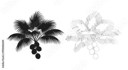 Two palm tree branch illustrations one dark and one light toned